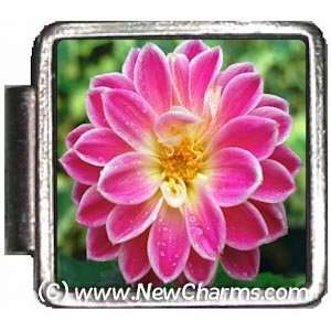  Fuschia Flower Italian Charm Bracelet Jewelry Link A10394 