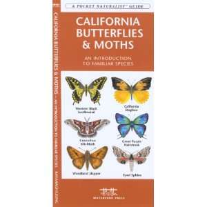    Waterford California Butterflies & Moths Patio, Lawn & Garden