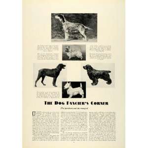  1931 Article Purebred Muts Dogs Pets English Setter 