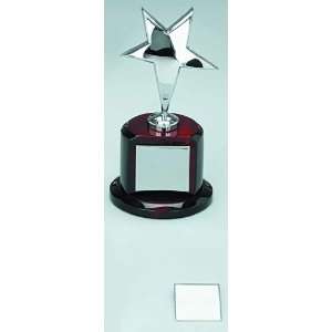  4.5 X 9 SILVER STAR TROPHY ON STAND