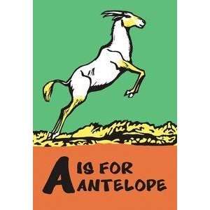  Vintage Art A is for Antelope   12425 3