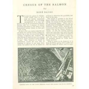  1911 Government Fishery Bureau Census of Alaska Salmon 
