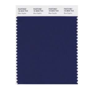   SMART 19 3940X Color Swatch Card, Blue Depths