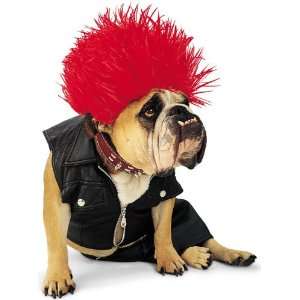  Lets Party By Paper Magic Group Zelda Punk Dog Costume 