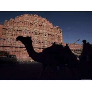 Camel Traffic in Front of the Hawa Malah (Palace of the Winds), Jaipur 