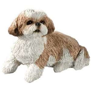  Shih Tzu   Small Size 