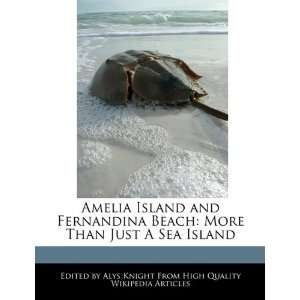 Amelia Island and Fernandina Beach More Than Just A Sea 