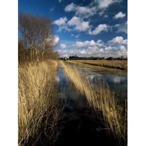  Wicken Fen, Cambridgeshire, England, United Kingdom 