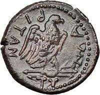   in Sicily 254BC Quality Authentic Ancient Greek Coin Zeus & Eagle RARE
