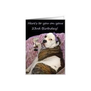    Happy 23rd Birthday Old English Bulldogge Card Toys & Games