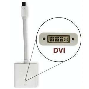  Newer Technology Mini DisplayPort to DVI Video Adapter 