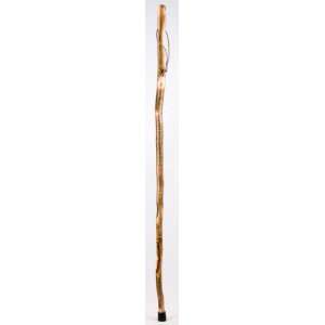  Brazos Walking Sticks   Free Form Aspen Wood Walking Stick 