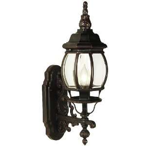  Nostalgia™ French 21 1/2 High Outdoor Wall Light