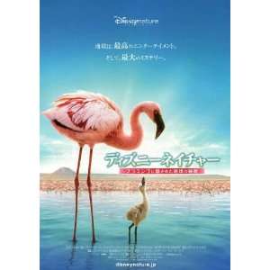 The Crimson Wing Mystery of the Flamingos (2008) 27 x 40 Movie Poster 