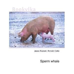  Sperm whale Ronald Cohn Jesse Russell Books