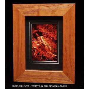  Phoenix Priestess Framed Digital Print by Dorothy Lee 