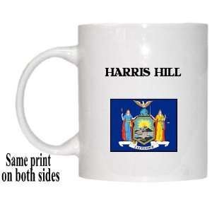  US State Flag   HARRIS HILL, New York (NY) Mug Everything 