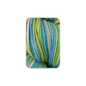 Cascade 220 Wool Paints 9863 Yarn 
