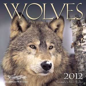   2012 Wolves Wall Calendar by International Wolf 