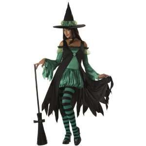 California Costume Collections CC01092 L Womens Emerald Witch Costume 