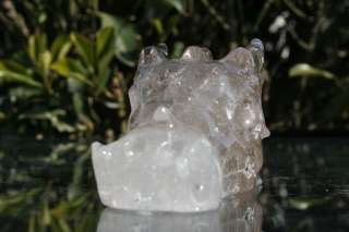 Quartz Rock Crystal Carved Dragon Crystal Skull Crystal Healing  