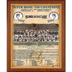  Healy Miami Dolphins Super Bowl Viii Champions 13X16 Team 