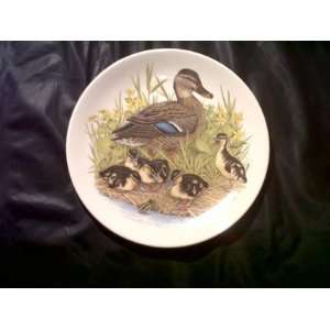  **** WOW  **** COLLECTOR PLATE *** 