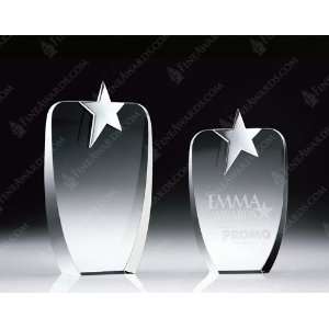  Crystal Absolute Star Award