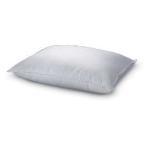  Beyond Down Gel Fiber Bed Pillow, Standard