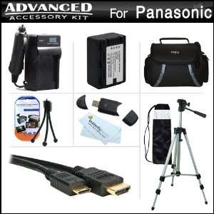 Advanced Accessories Kit For Panasonic HDC SD40K HD SD Card Camcorder 
