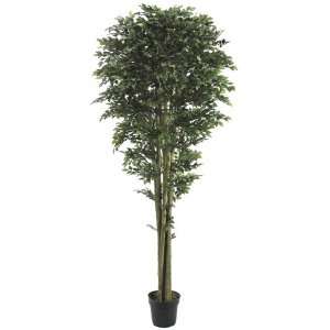  Pack of 2 Decorative Ficus Trees with Round Pots 7