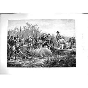 1880 HIPPOPOTAMUS HUNTING ANGOLA AFRICA MEN BOATS