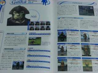 Final Fantasy XI Vanadiel World Report 030625 OOP  