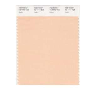  PANTONE SMART 13 1114X Color Swatch Card, Bellini