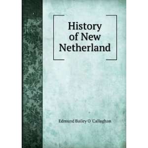    History of New Netherland Edmund Bailey O Callaghan Books