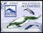 Micronesia fauna WONDROUS WHALES S/S  