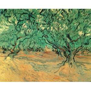  Oil Painting Olive Trees Vincent van Gogh Hand Painted 