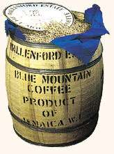 lbs DARK Wallenford Blue Mountain Coffee~FREE SHIP  