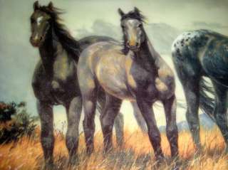 Nancy Glazier Wild Free PRAIRIE PRIDE Black Horse Plate  
