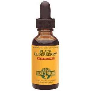  Black Elderberry Alcohol Free 1 oz