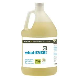  What EVER Unscented   1 gallon CONCENTRATE Kitchen 