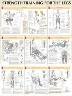   Poster by Frederic Delavier, Human Kinetics Publishers  Other Format
