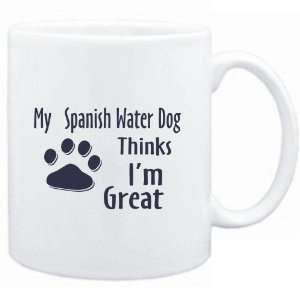    MY Spanish Water Dog THINKS I AM GREAT  Dogs