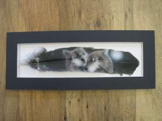  feather by artist Russ Abbott. The image is of a pair of wolves