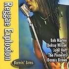 Reggae Explosion Burnin Jams   Various Artists (CD