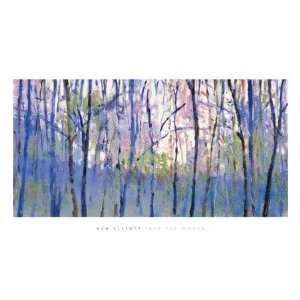   Woods   Artist Elliott   Poster Size 39 X 24 inches