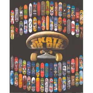  Skate or Die   Party/College Poster   16 x 20