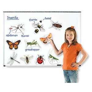  5 Pack LEARNING RESOURCES GIANT MAGNETIC INSECTS 