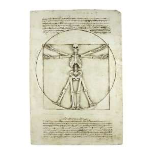  VITRUVIAN MAN Skeleton Wall Plaque Gothic Decor