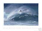 North Shore Surf Rack HUGE Art Photo Surfing Hawaii  